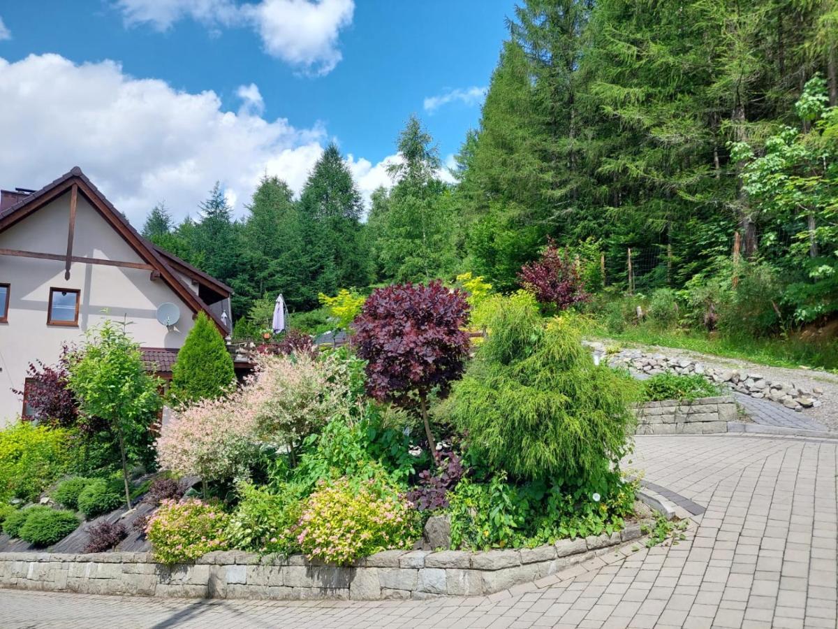 Apartamenty Nad Strumykiem Brenna Exterior foto